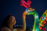 Lanterns on display in Darling Harbour for the Chinese New Year Lantern Festival at Tumbalong Park.