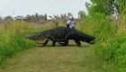 Unos turistas graban un cocodrilo gigante en Florida