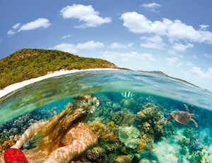 Snorkelling activities near Hamilton Island, Australia