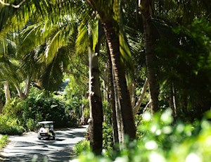 Golf buggy on the resort side of Hamilton Island