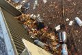 Gregory Andrews is launching a push to clean up Canberra after he came across this Curtin waterway clogged with rubbish.