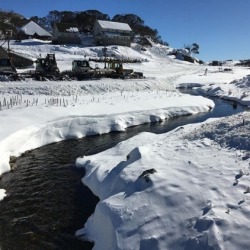 FINALIST: Perisher awesome as always.