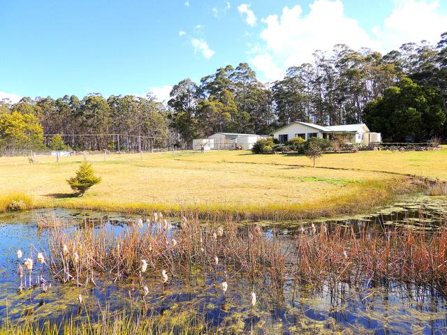 282 Elephant Pass Road, St Marys, Tas 7215