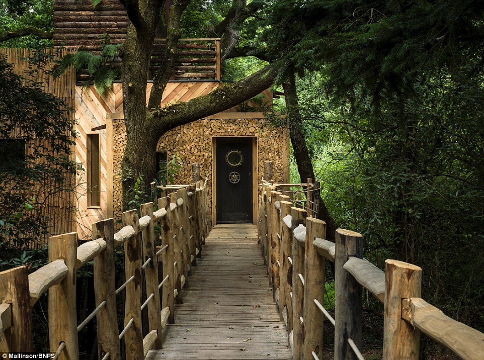 To access the sturdy structure campers walk along a bridge under a canopy of trees