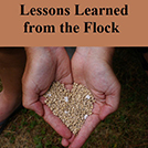 Lessons Learned from the Flock