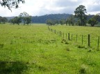 Picture of 1705 Mount Mitchell Road, Guyra