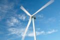 Wind farms supply more than 40 per cent of South Australia's electricity and have become a political hotspot.