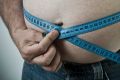 "You are what you eat but also a result of how often and how much you eat": Assistant Minister for Rural Health David ...