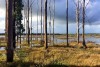 Wetlands around Lake Condah