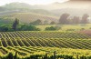 Mendocino & Sonoma: The Wine Road. Encompassing Dry Creek Valley, Russian River Valley and Alexander Valley, "The Wine ...