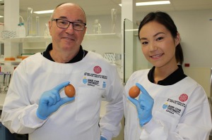 Professor Andreas Lopata and postdoctoral student Aya Taki.