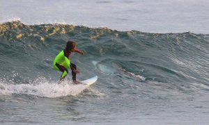 In this photo from Jan. 24, 2017, provided by Chris Hasson, 10-year-old Eden Hasson, Chris' son, surfs near what is believed to be a great white shark at Samurai Beach, Port Stephens, Australia.