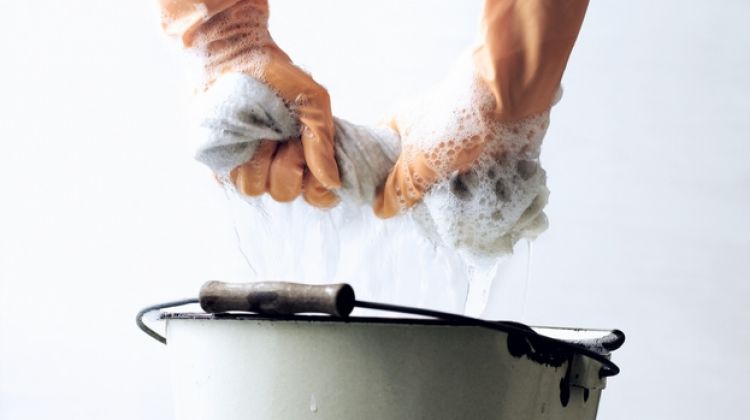 If your bin ever begins to smell, you know it's long overdue for a clean.