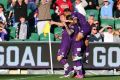 Glorious: Perth striker Nebojsa Marinkovic celebrates after scoring against Wellington.