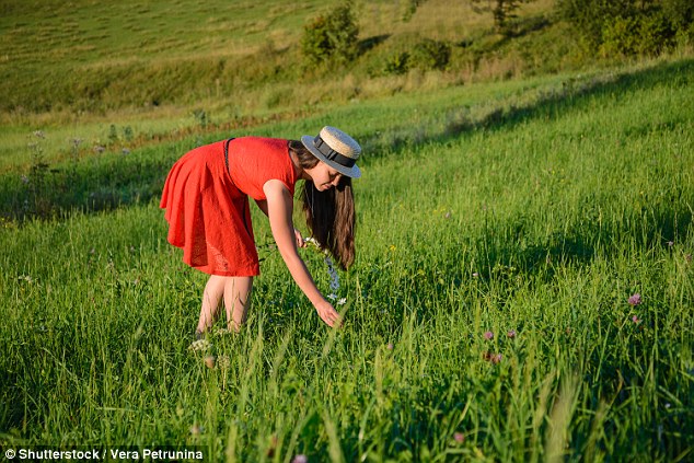 In Malaysia, it's illegal to collect local flora and fauna without permission from the government (stock image)