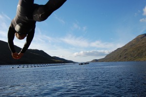 Killary Fjord swim.