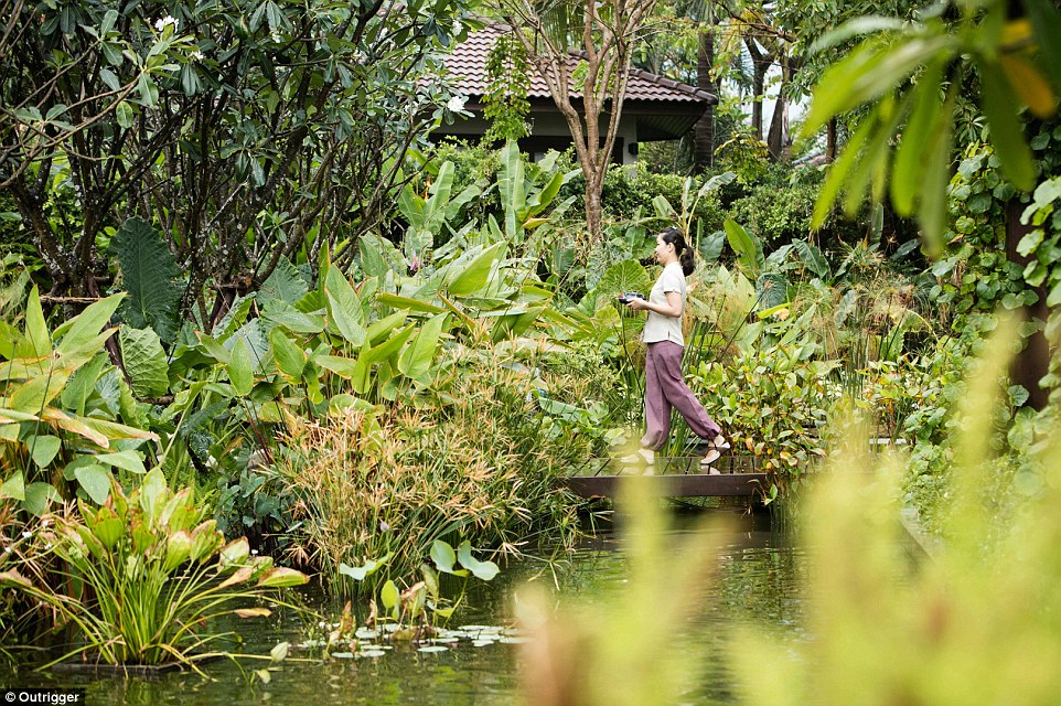 Serene: Rooms are connected by a winding path and surrounded in greenery - the perfect mating place for happy cicadas who sing from the branches 