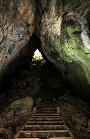 Mount Eccles Budj Bim lava cave.
