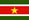 Flag Suriname