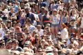 Crowds at the Sydney leg of Laneway last year.