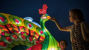 Chloe Allan 7 and Lucas Shi 4 with lanterns on display in Darling Harbour for the Chinese New Year Lantern Festival at ...