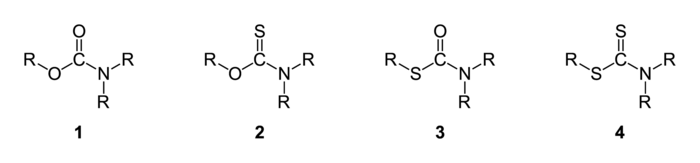 Carbamates-thiocarbamates-dithiocarbamates-general-2D.png