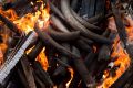 Elephant tusks are destroyed during the first Cameroon ivory burn in April. 