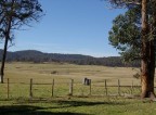 Picture of Haystack, Guyra