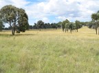 Picture of Green Valley 279 Taylors Road, Guyra