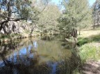 Picture of Guyra