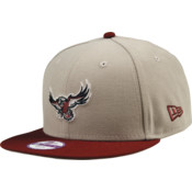 Manly-Warringah Sea Eagles Kids Grey 9FIFTY Team Cap