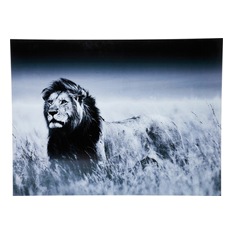 KARE Design - Bild Glas Lion King Standing 120x160cm - Fotokunst