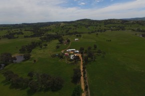 Picture of Willona - 4863 Olympic Highway, Cootamundra