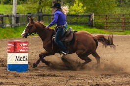 Pity the poor horses of the one percent: Alice Walton gets out of the cutting business to focus on other absurd pastimes. / Paul VanDerWerf