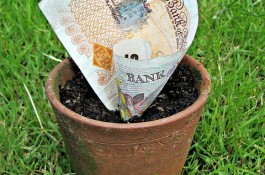 Turns out investment banking isn't as rewarding as burying money in the garden. /