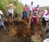 LAS CONSECUENCIAS POR DEJARNOS DESLUMBRAR DEL ESPEJISMO DEL DINERO Y RIQUEZAS ATENTANDO CONTRA LA MADRE TIERRA.