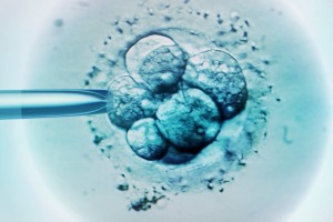 IVF providers have been caught in a "race to the bottom", ACCC says.