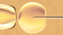 A technician at the Dutch clinic noticed a problem in a kind of in vitro fertilisation treatment known as ...