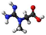 Ball and stick model of creatine