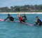 Learn to ride the waves at Mollymook Surf School.