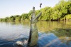 Jumping crocodile cruise on the Adelaide River, Darwin, NT.