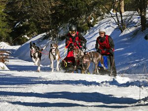 Overtaking the sled dog race for the German championship in 2015 in Frauenwald ( Thuringian Forest ) .