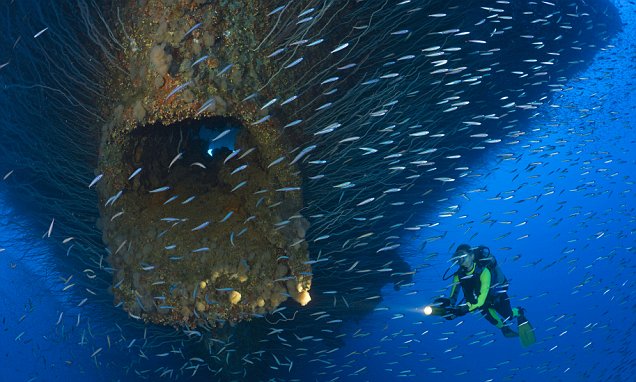 Eerie photos capture awe-inspiring shipwrecks