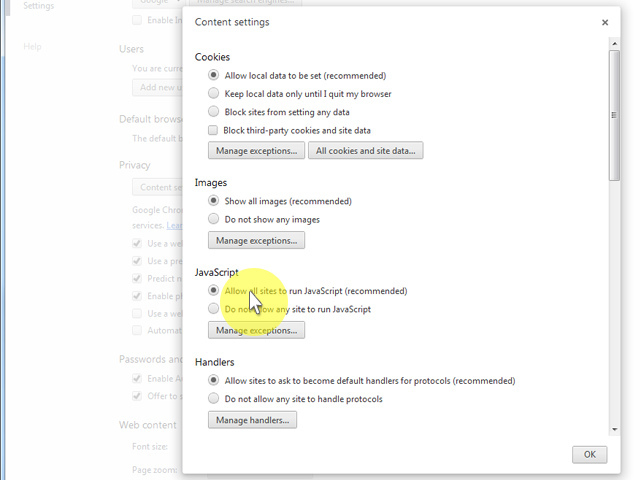 When the dialog window opens, look for the "JavaScript" section and select "Allow all sites to run JavaScript (recommended)".