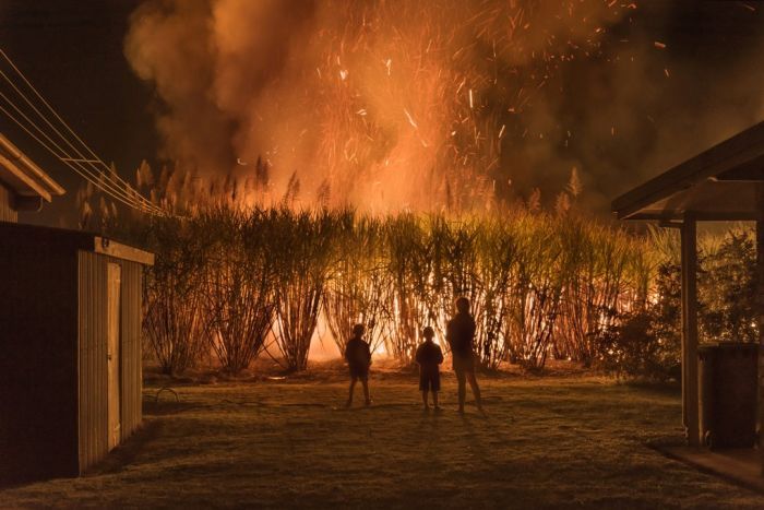 Pic of the week: Cane fire