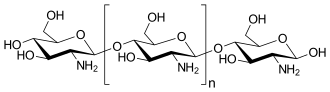 Structure of completely deacetylated chitosan