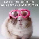 Pure cringe: the picture of a guinea pig that First Minister Arlene Foster posted recently