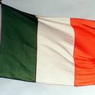 Could the Irish flag flow freely above local councils?