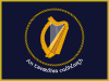 Irish Naval Service Flag.svg