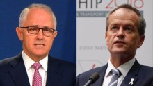 Donald Trump's formal rejection of the TPP has brought contrasting reactions from Turnbull and Shorten.
